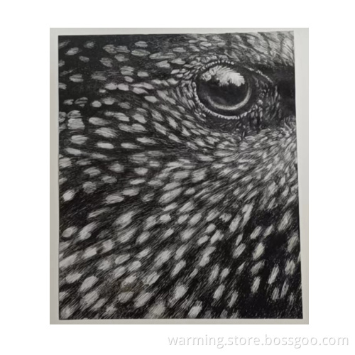 Gaze at Pen and Drawing Works
